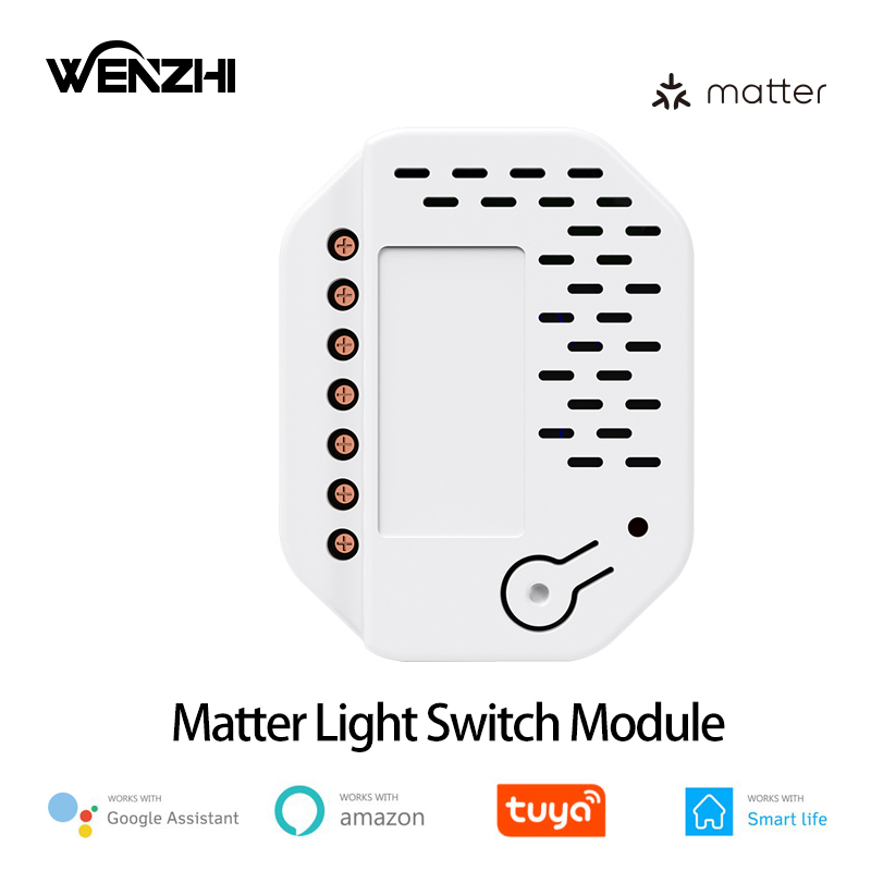 Smart Home Automation - Matter Light Switch Module 2Gang Relay