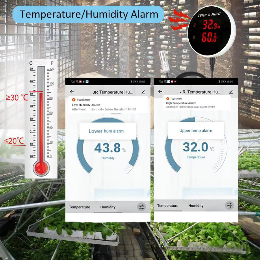 Tuya WiFi Thermometer Hygromet - đánh giá và giá Wifi Thermostat