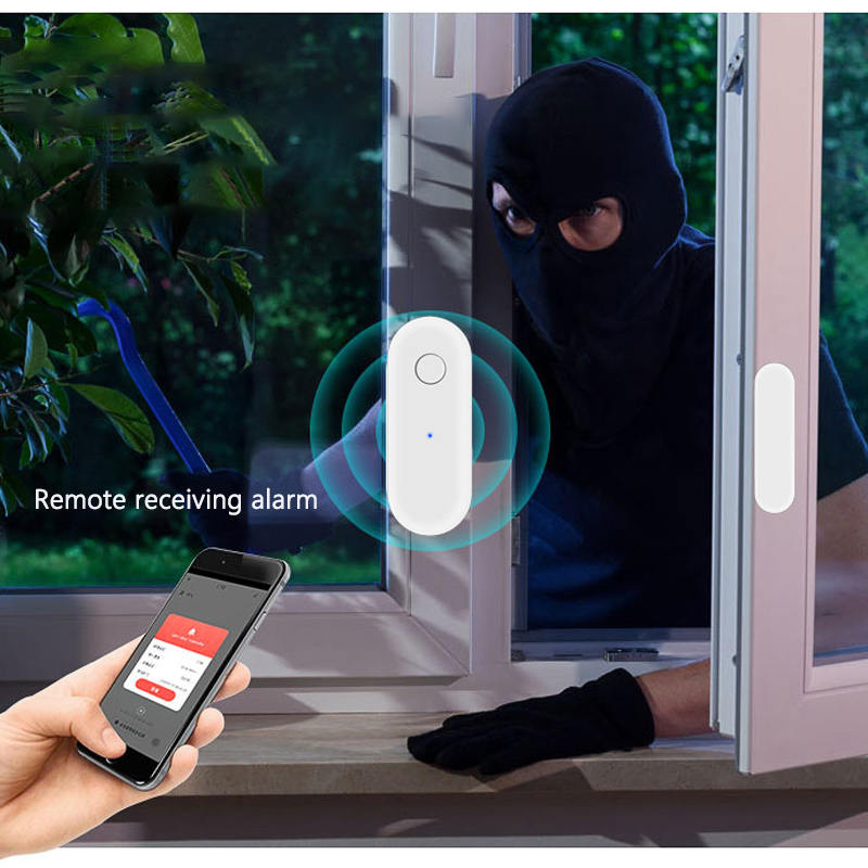 Remote Receiving Alarm Wi-Fi I - đánh giá và giá Door Window Sensor