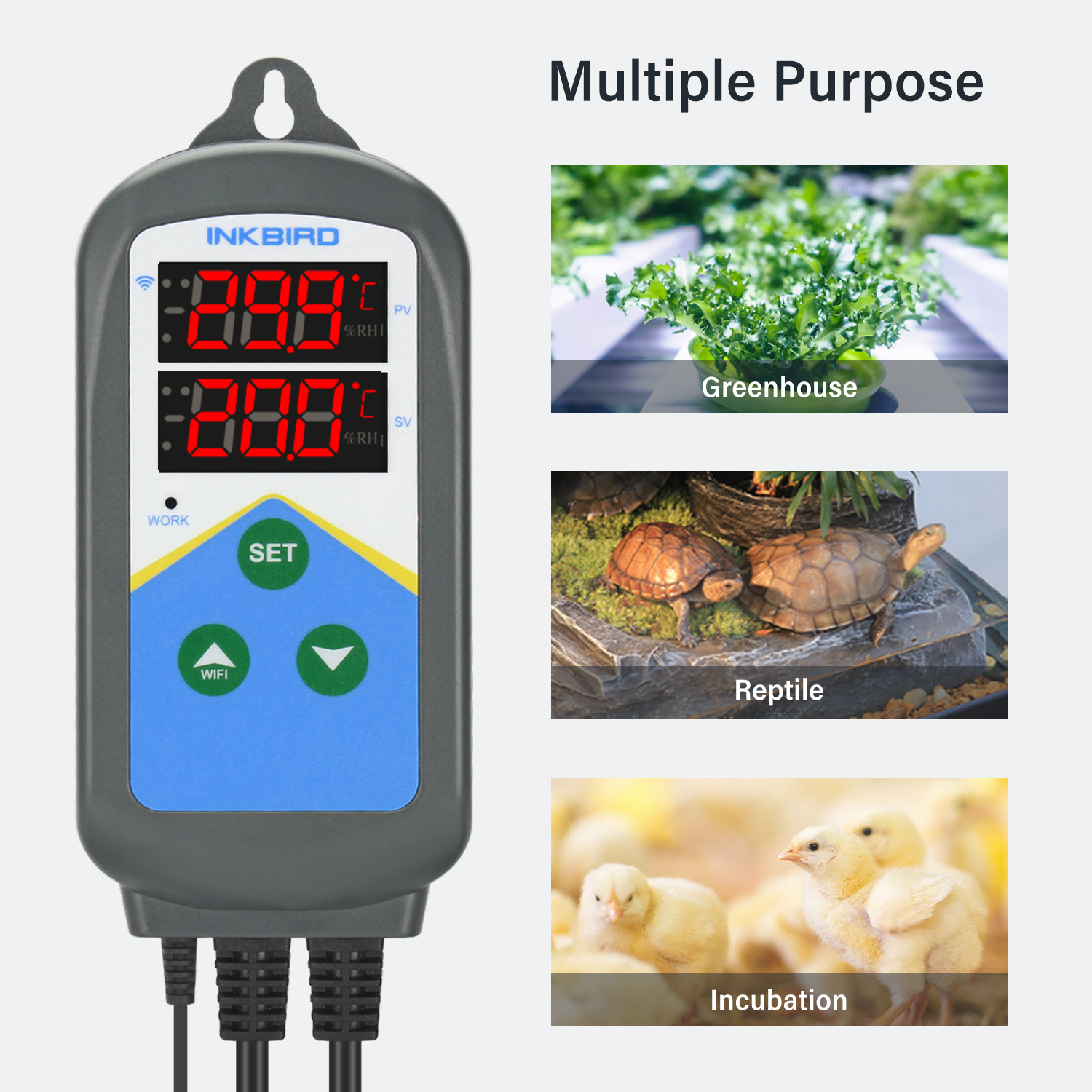 INKBIRD WIFI Thermoregulator I - đánh giá và giá Wifi Thermostat