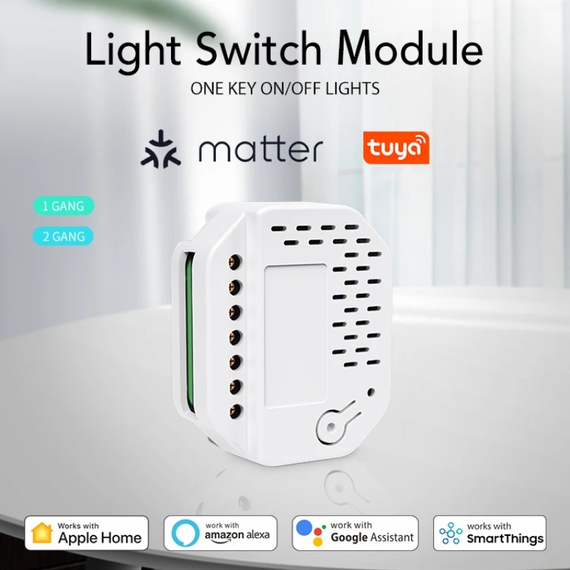 Matter Light Switch Module 2Ga - đánh giá và giá Smart Home Automation