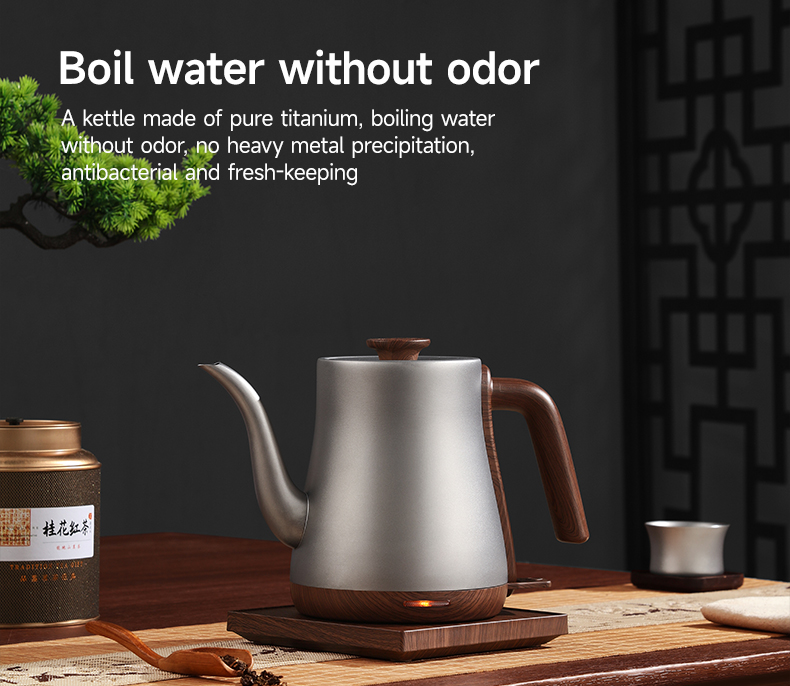 Morden Style Pure Titanium Ele - đánh giá và giá Home Smart Kettle